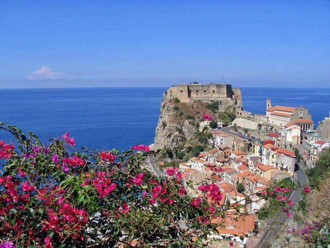 Scilla Scilla