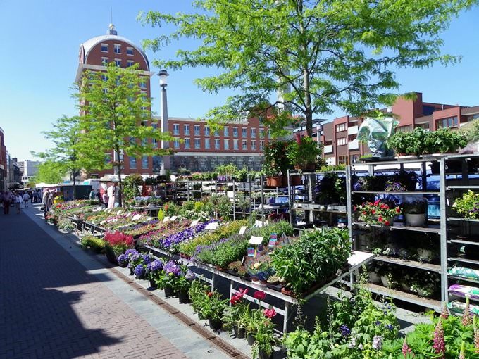 dordrecht markets dordrecht markets