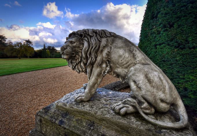 Hoo Lion Hoo Lion