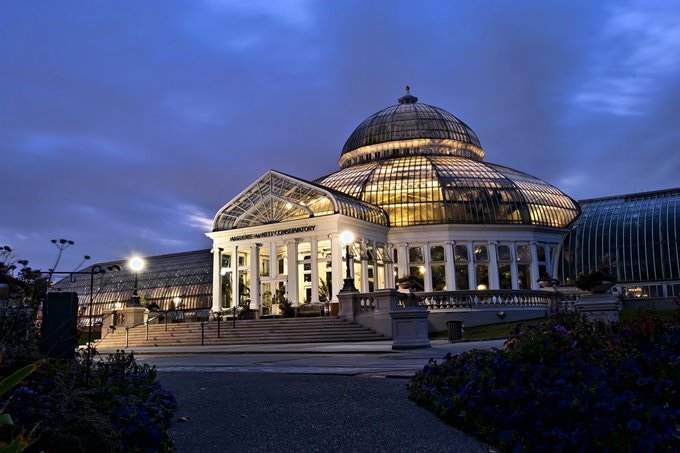 Night Time at the Conservatory Night Time at the Conservatory