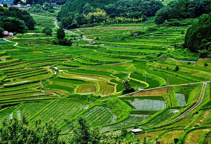 Tanada (Rice Field) Tanada (Rice Field)