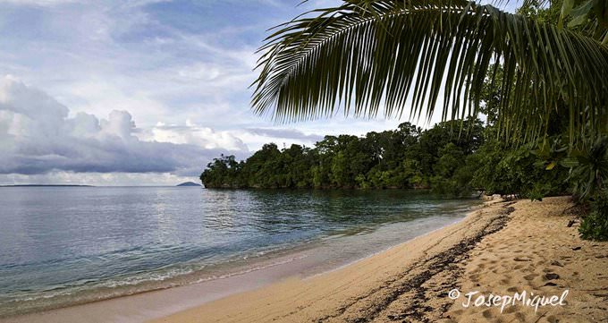 Sulawesi Sulawesi