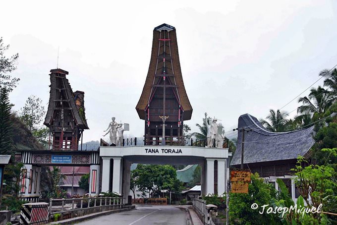 Sulawesi Sulawesi