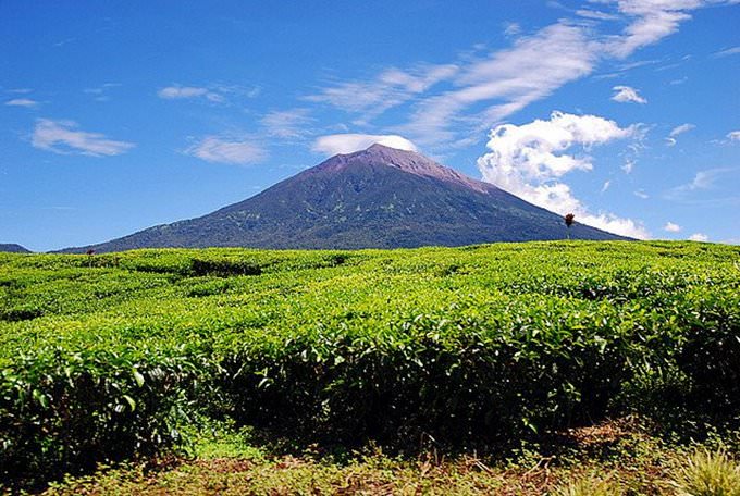 View@Kayuaro View@Kayuaro