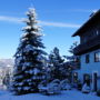 Фото 5 - Blue Mountain Hotel