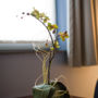 Фото 11 - Best Western Hotel Orchidee