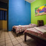 Фото 7 - Hostel Pousada País Tropical