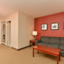 Фото 14 - Comfort Inn & Suites South