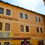 Фото 1 - Pension Lionetta