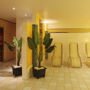Фото 8 - Ramada Hotel Vier Jahreszeiten Hahnenklee