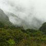 Фото 4 - El Refugio de Intag Cloud Forest Retreat