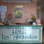 Фото 9 - Hotel los Girasoles