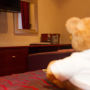 Фото 3 - Best Western Willowbank Hotel Manchester