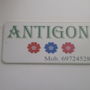 Фото 6 - Antigoni