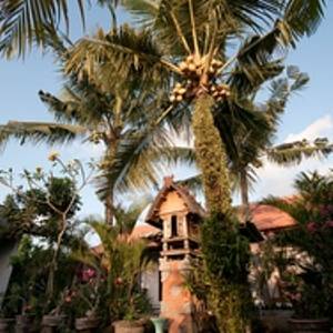 Фото 6 - Matra Bali Guesthouse
