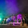 Фото 3 - Elephant Safari Park Lodge