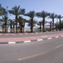 Фото 3 - Aloni Neve Zohar Dead Sea