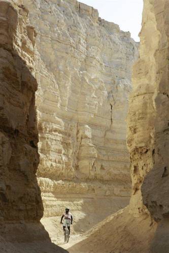 Фото 13 - Dead Sea Lodge
