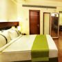 Фото 14 - Holiday Inn Jaipur