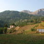 Фото 7 - Tuscany Meanders