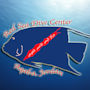 Фото 11 - Red Sea Dive Center
