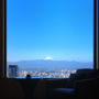 Фото 8 - Cerulean Tower Tokyu Hotel