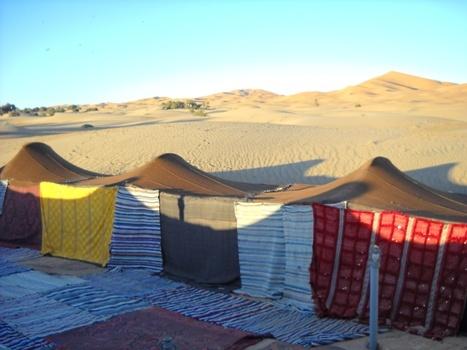 Фото 6 - Dune Luxury Camp