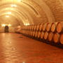 Фото 11 - Purcari Winery
