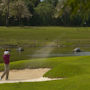 Фото 10 - Melia Cozumel All Inclusive Golf & Beach Resort