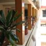 Фото 1 - Hotel Plaza Yucatan
