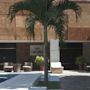 Фото 9 - Hotel Plaza Mirador