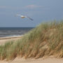 Фото 5 - Golden Tulip Noordwijk Beach
