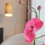 Фото 1 - Best Western Palace Hotel Zandvoort