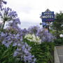 Фото 5 - Apollo Motel