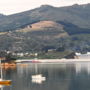 Фото 12 - Otago Peninsula Motel