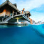 Фото 8 - Hilton Bora Bora Nui Resort and Spa