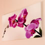 Фото 8 - Apartament Orchidea