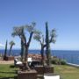 Фото 1 - Madeira Regency Cliff