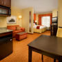 Фото 4 - Holiday Inn Express Hotel & Suites Chattanooga Downtown