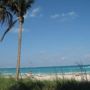 Фото 12 - Seagull Hotel Miami Beach