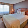 Фото 5 - Holiday Inn Hotel & Suites Anaheim