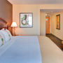 Фото 9 - Holiday Inn Hotel & Suites Anaheim