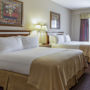 Фото 4 - Holiday Inn Hotel French Quarter-Chateau Lemoyne
