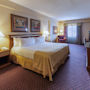 Фото 5 - Holiday Inn Hotel French Quarter-Chateau Lemoyne