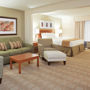 Фото 4 - Holiday Inn Express Hotel & Suites Indianapolis Dtn-Conv Ctr Area