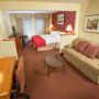 Фото 2 - Holiday Inn Boston Brookline