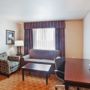 Фото 11 - Holiday Inn Express Hotel & Suites Atlanta - Conyers