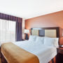 Фото 3 - Holiday Inn Express Hotel & Suites Atlanta - Conyers