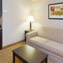 Фото 6 - Holiday Inn Express Hotel & Suites Fort Myers West - The Forum