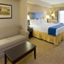 Фото 9 - Holiday Inn Express Hotel & Suites Fort Myers West - The Forum